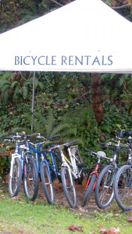 bike_rentals.jpg